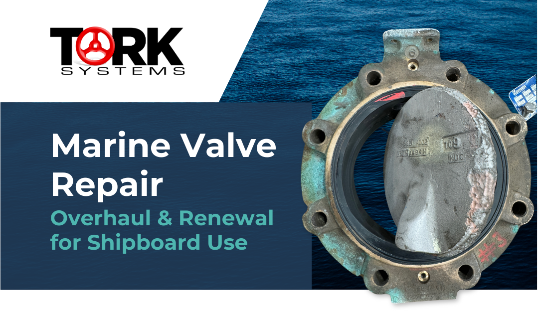 Tork Systems Marine Valve Overhaul Repair Services